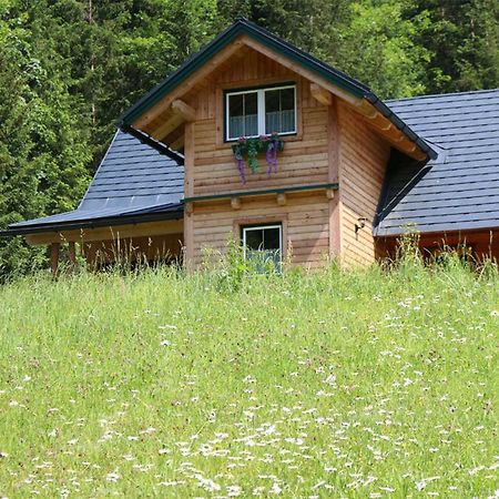 Villa Forstauer'S Teichalm à Gams bei Hieflau Extérieur photo