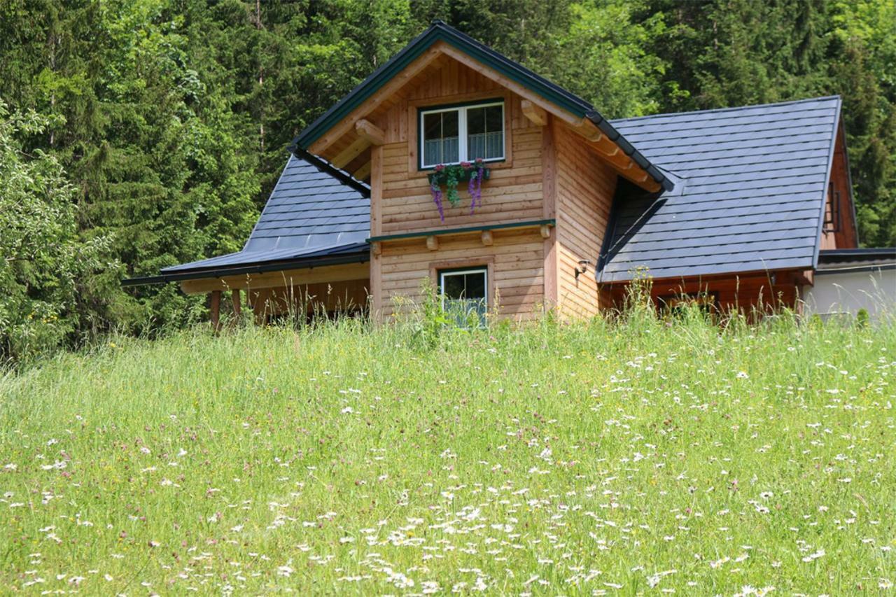 Villa Forstauer'S Teichalm à Gams bei Hieflau Extérieur photo
